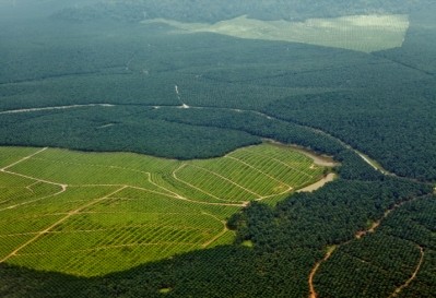 Oil palm plantations in northeastern Borneo, state of Sabah, Malaysia.© GettyImages/Vaara