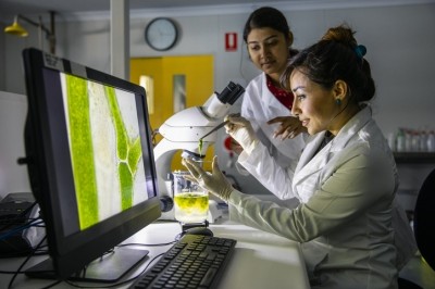 The researchers are evaluating algae species based on their commercial viability, with the goal of minimizing potential waste and maximizing value. © GettyImages/SolStock