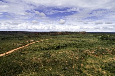 "The publication of the Cerrado Manifesto in 2017 raised the profile of the Cerrado amongst food retailers, food manufacturers and food service companies that have soy embedded in their products. More recent initiatives such as the Innovative Finance for the Amazon, Cerrado and Chaco (IFACC), Forest Positive Coalition of the Consumer Goods Forum and the UK and French Soy Manifestos, have the objective of driving deforestation- and conversion-free (DCF) soy production in the region." © GettyImages/FG Trade