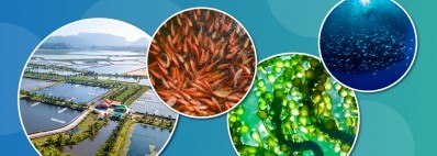 Blue Food Innovation Summit 2024 in London for sustainable aquaculture