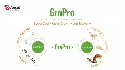 Effects of GroPro in piglet diets - SDPP replacement