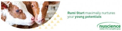 Rumi Start maximally nurtures your young potentials