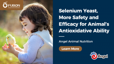 Selenium Yeast,More Safety and Efficacy