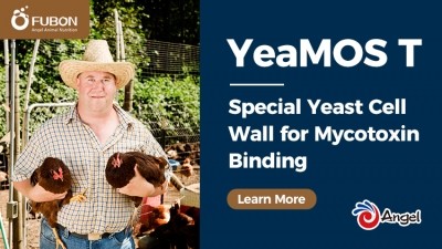 YeaMOS T—Special Yeast Cell Wall for Mycotoxin Bin