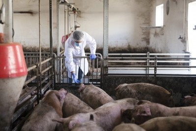 UK urged to match EU ban on meat treated with antibiotics