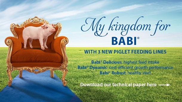 Babi®: 5-fold approach to keep piglets healthy