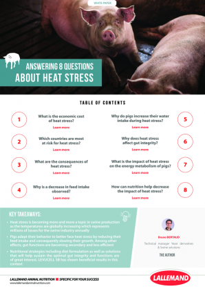 Answering 8 questions about heat stress 