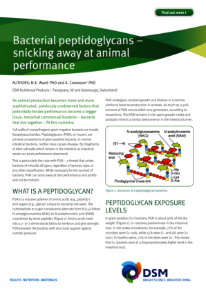 Bacterial Peptidoglycans - A Threat to Animal Performance