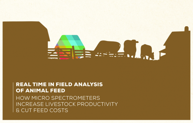 Use Digital to Optimize Feed, Save Costs and Increase Yield