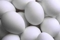 Eggs recalled in Germany over dioxin contamination
