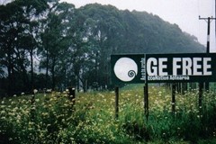 Stop GE creeping into NZ!
