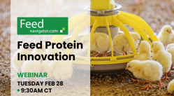 Feed Protein Innovation
