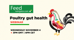 Poultry gut health
