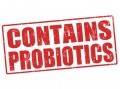 Prebiotics or probiotics said to contribute to better health and vitality of chickens