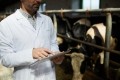 An online calculator for milk component efficiency 