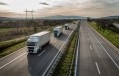 Truck strike impact on Portuguese feed sector 