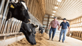 Enhance digestibility and mitigate feed waste with Yea-Sacc