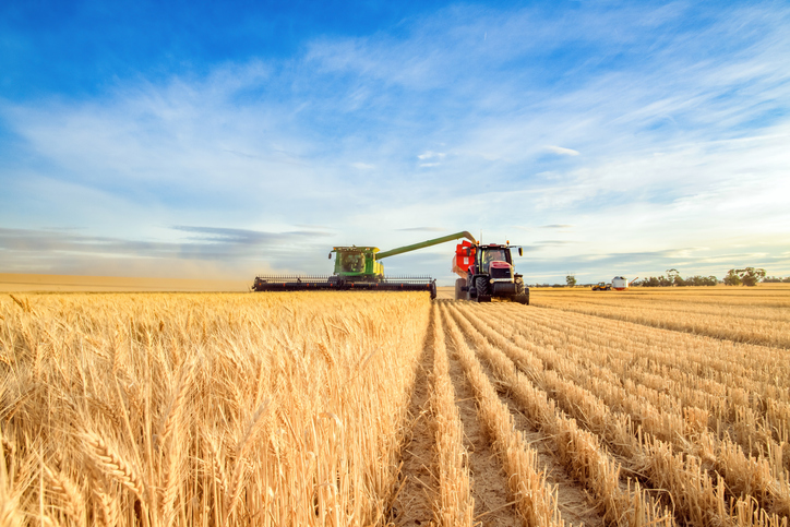 Australia eyeing wheat crop