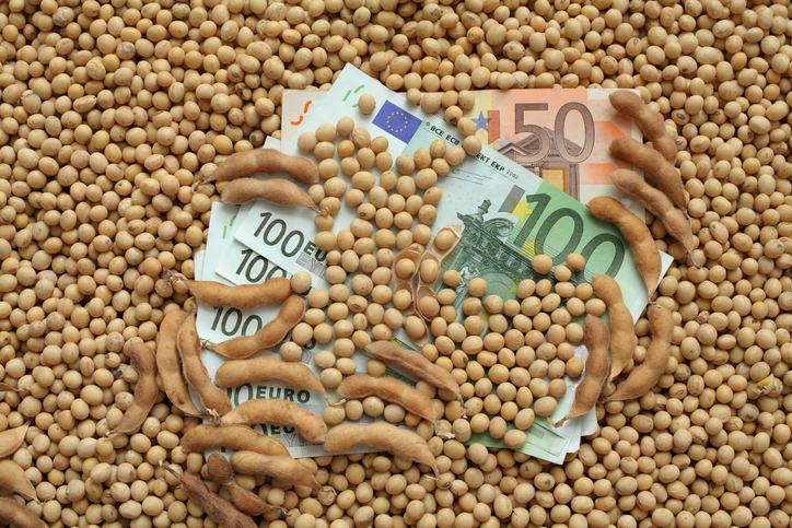 Viserion Elián Barcelona comprará a Cargill una planta española de trituración de soja