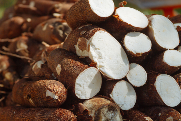 Enzyme use aids cassava by-product inclusion in poultry feed